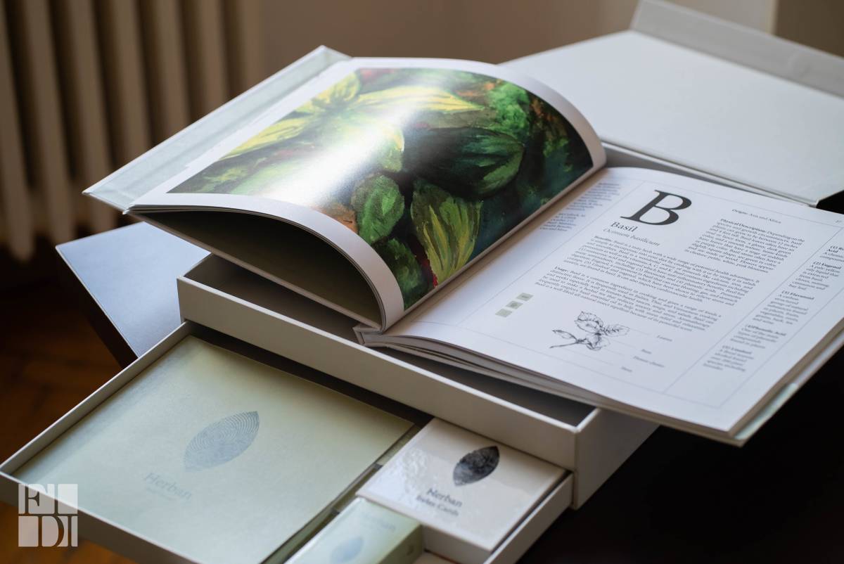 Layout Design