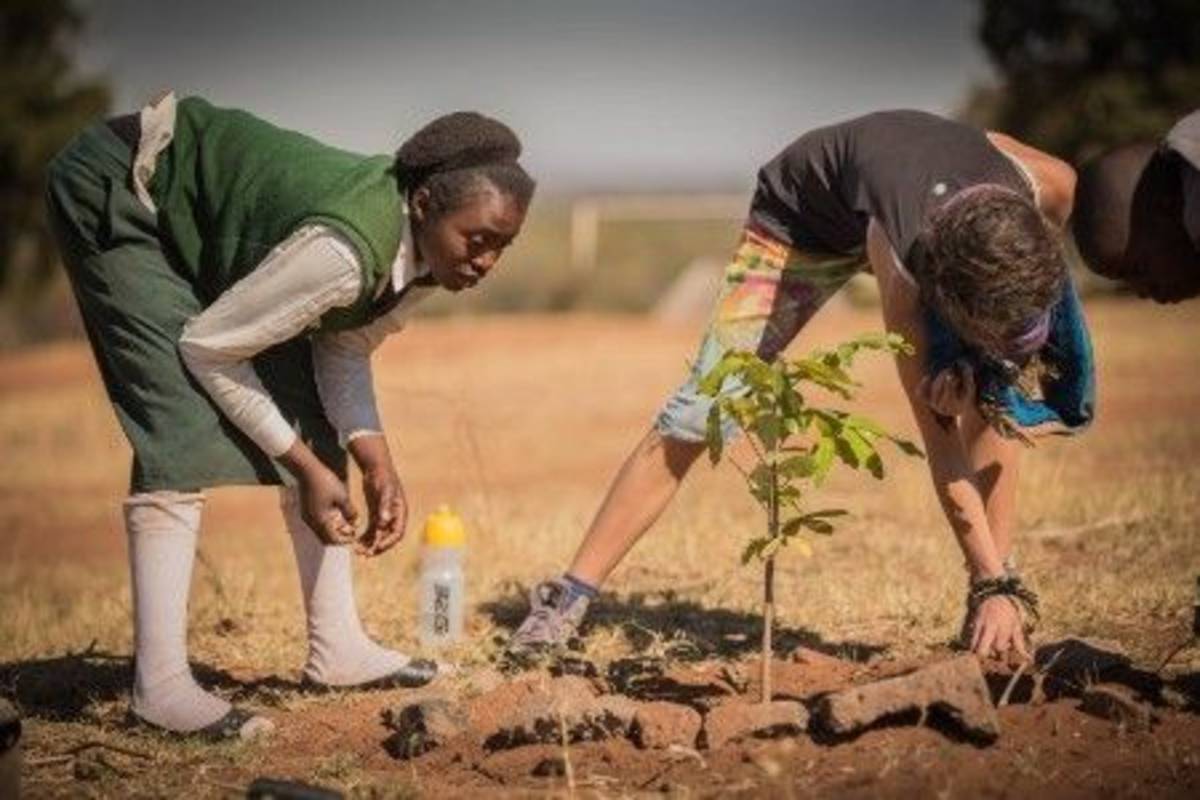 volunteers taking care of a young tree