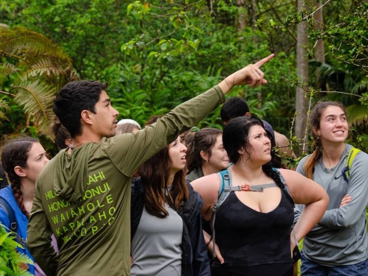 Local Hawaiian teaching volunteers about the natural environment
