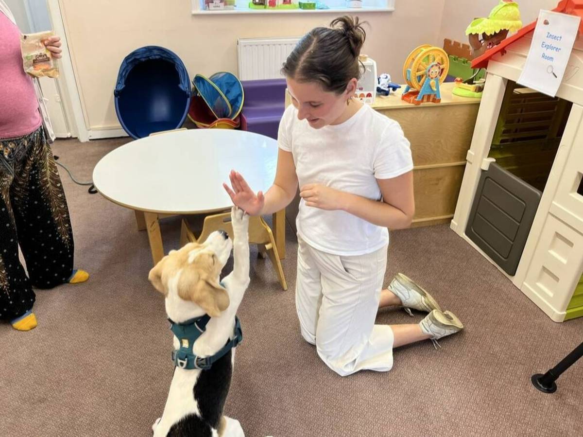 London Intern working with dog