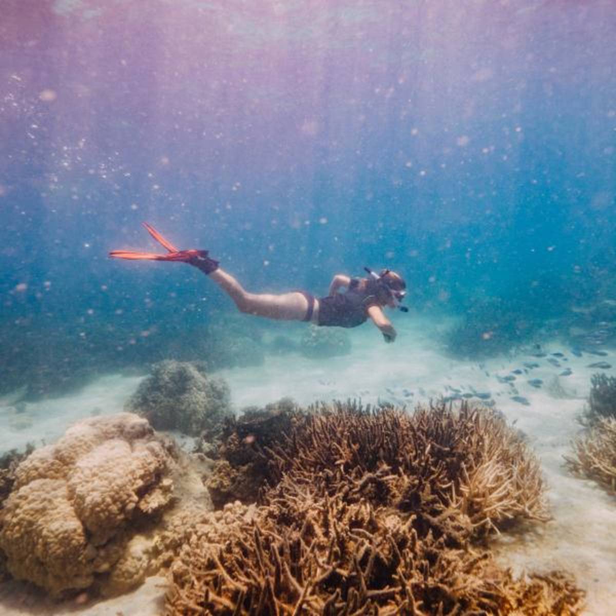 Madagascar Marine
