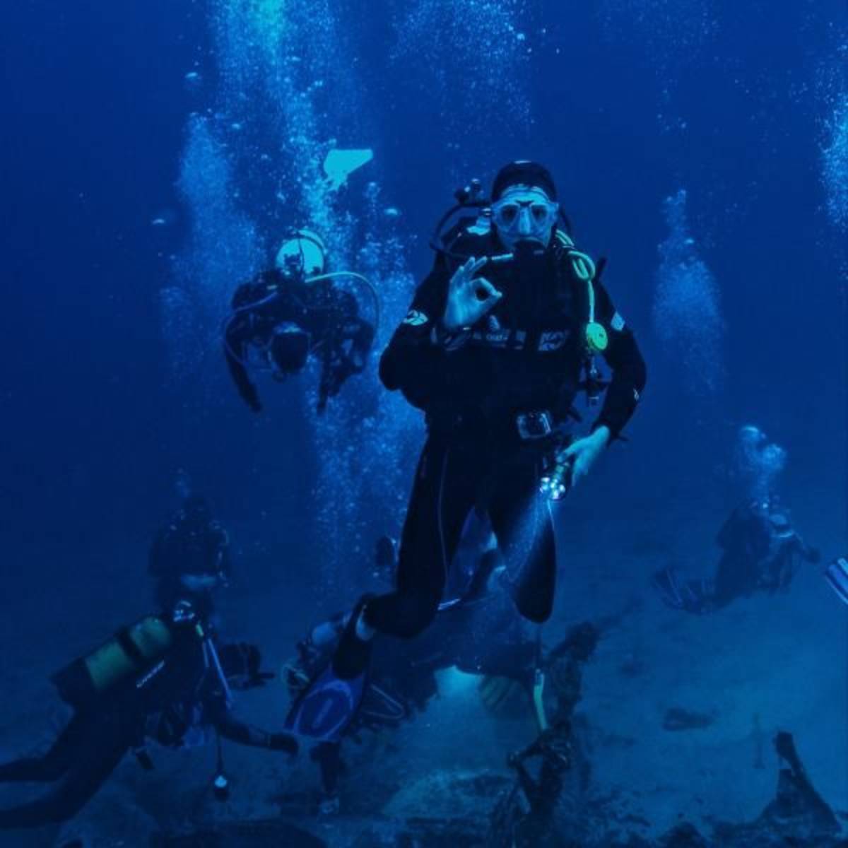 Dive Internship