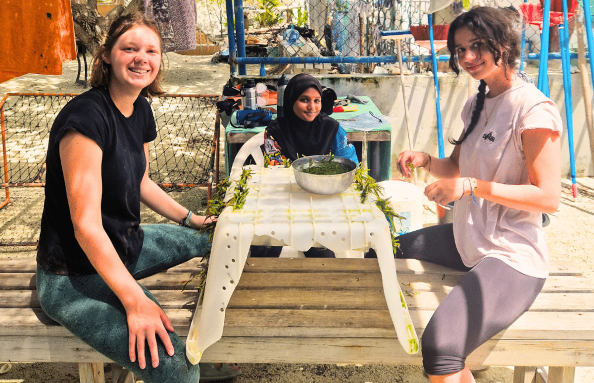 Maldives – Sea Turtle & Marine Conservation for Teenagers