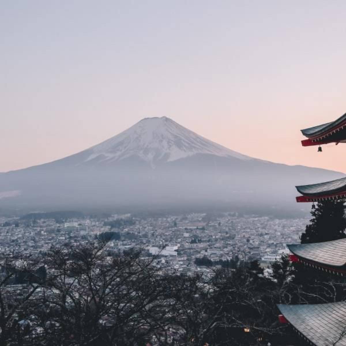 Japan Interns