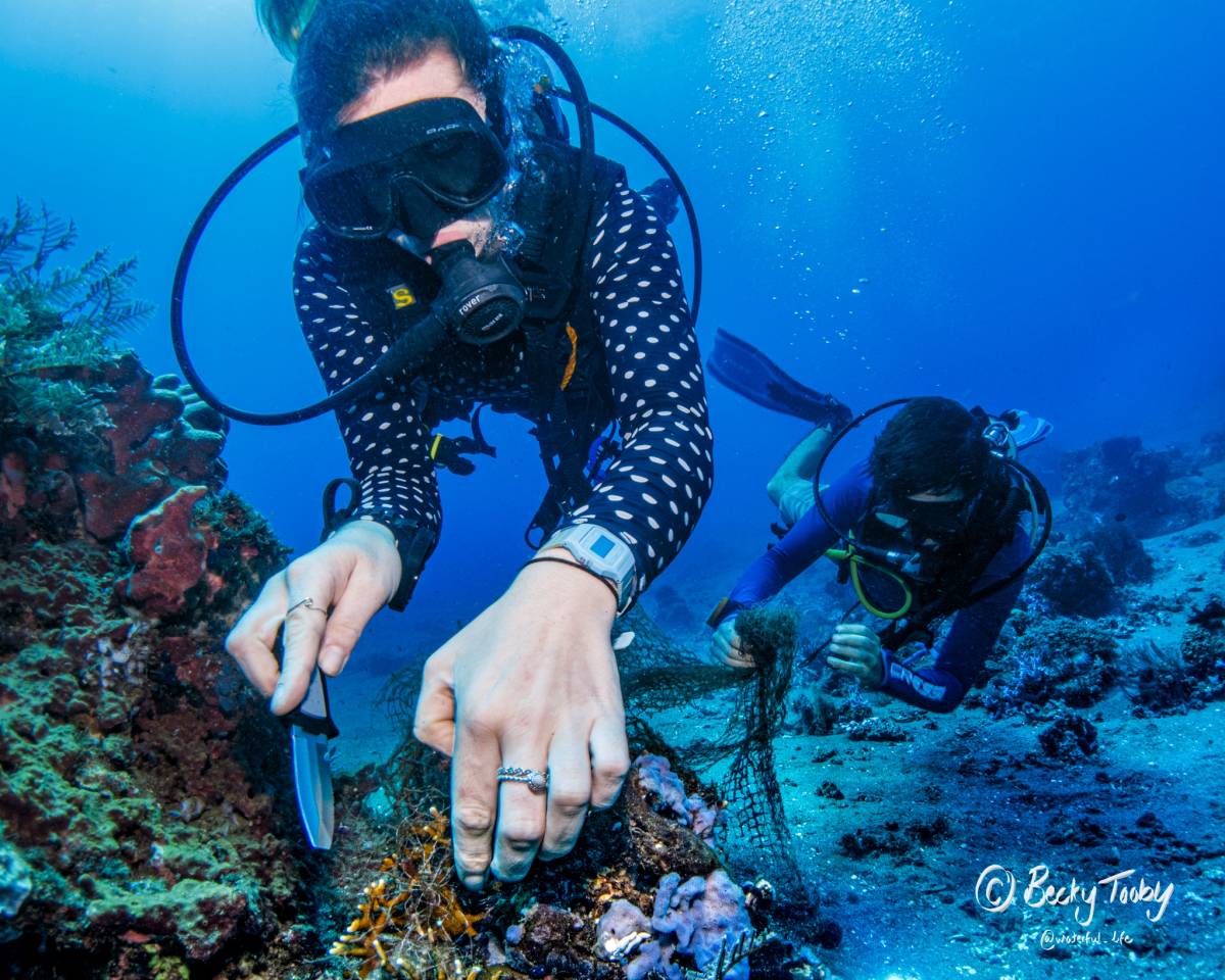 Marine Research Assistant Internship in the Philippines