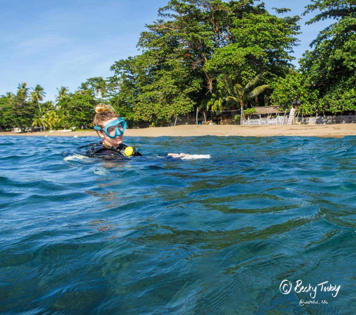 Marine Research Fellow Internship in the Philippines