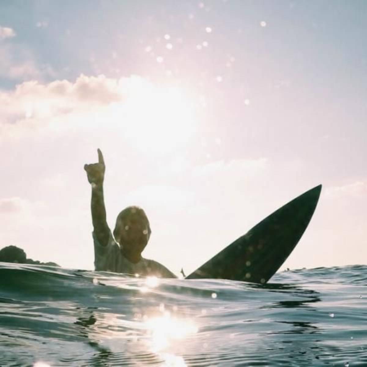 GoEco Mexico - Sea Turtle Conservation and Surfing 101.