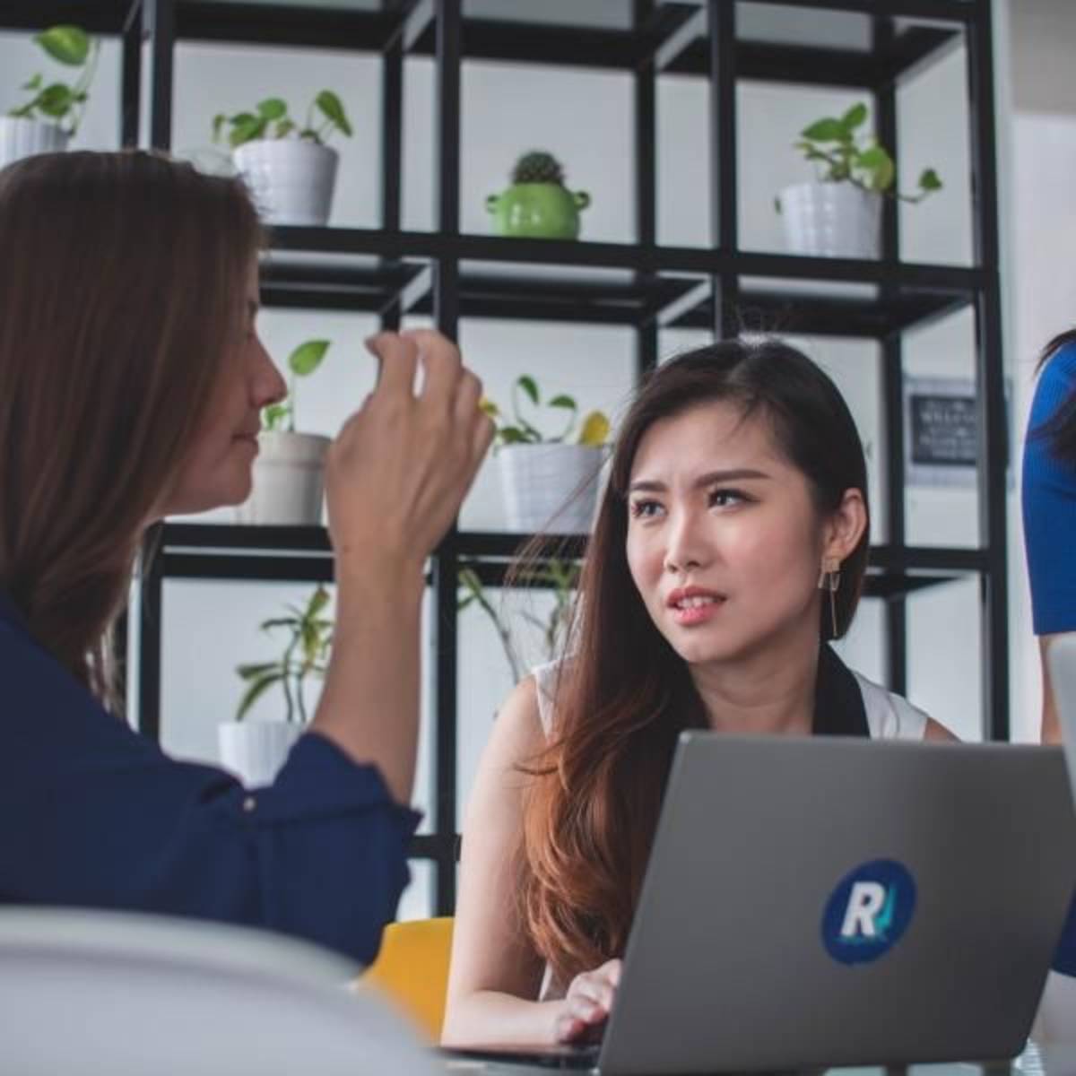 Travel Consultancy Internship