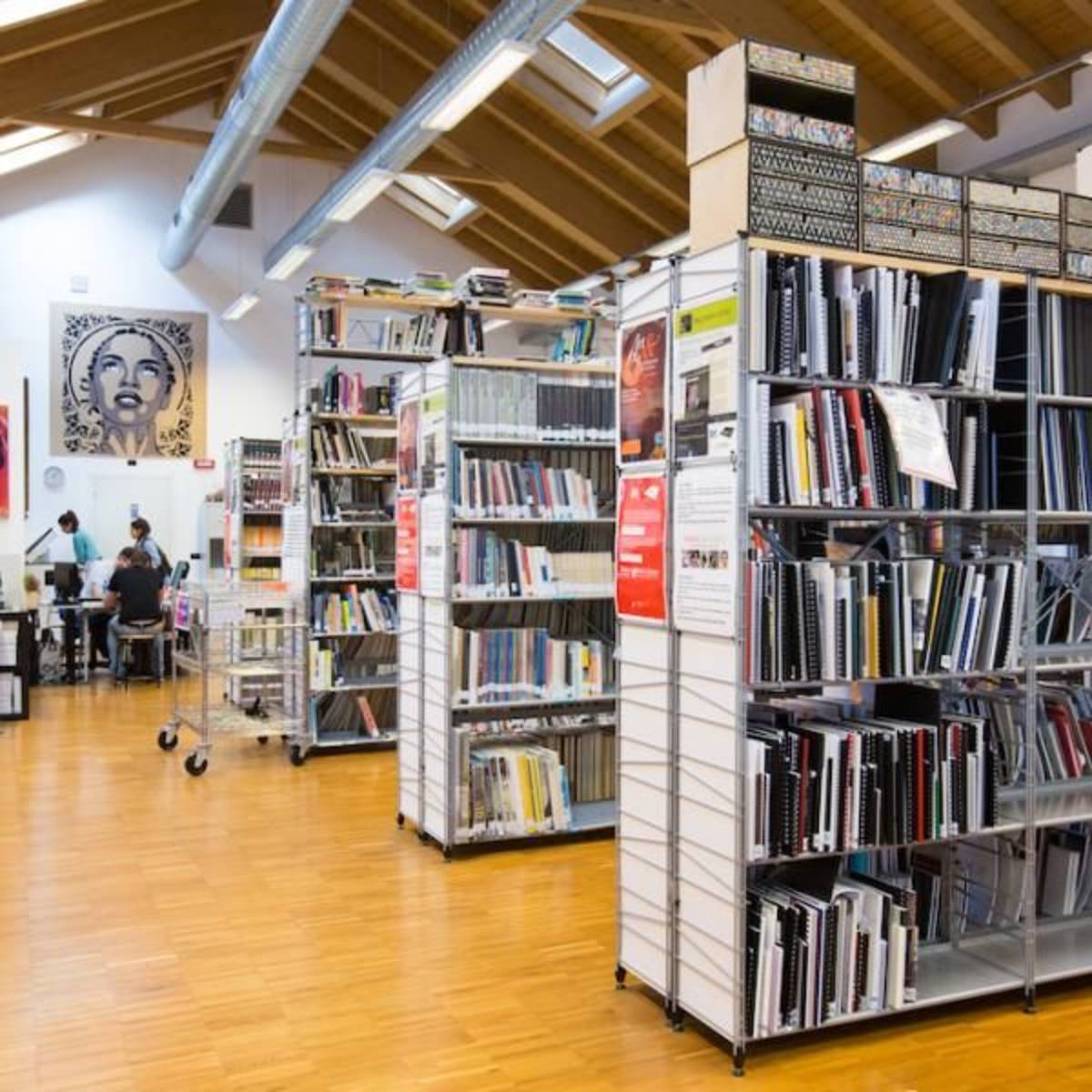 NABA library