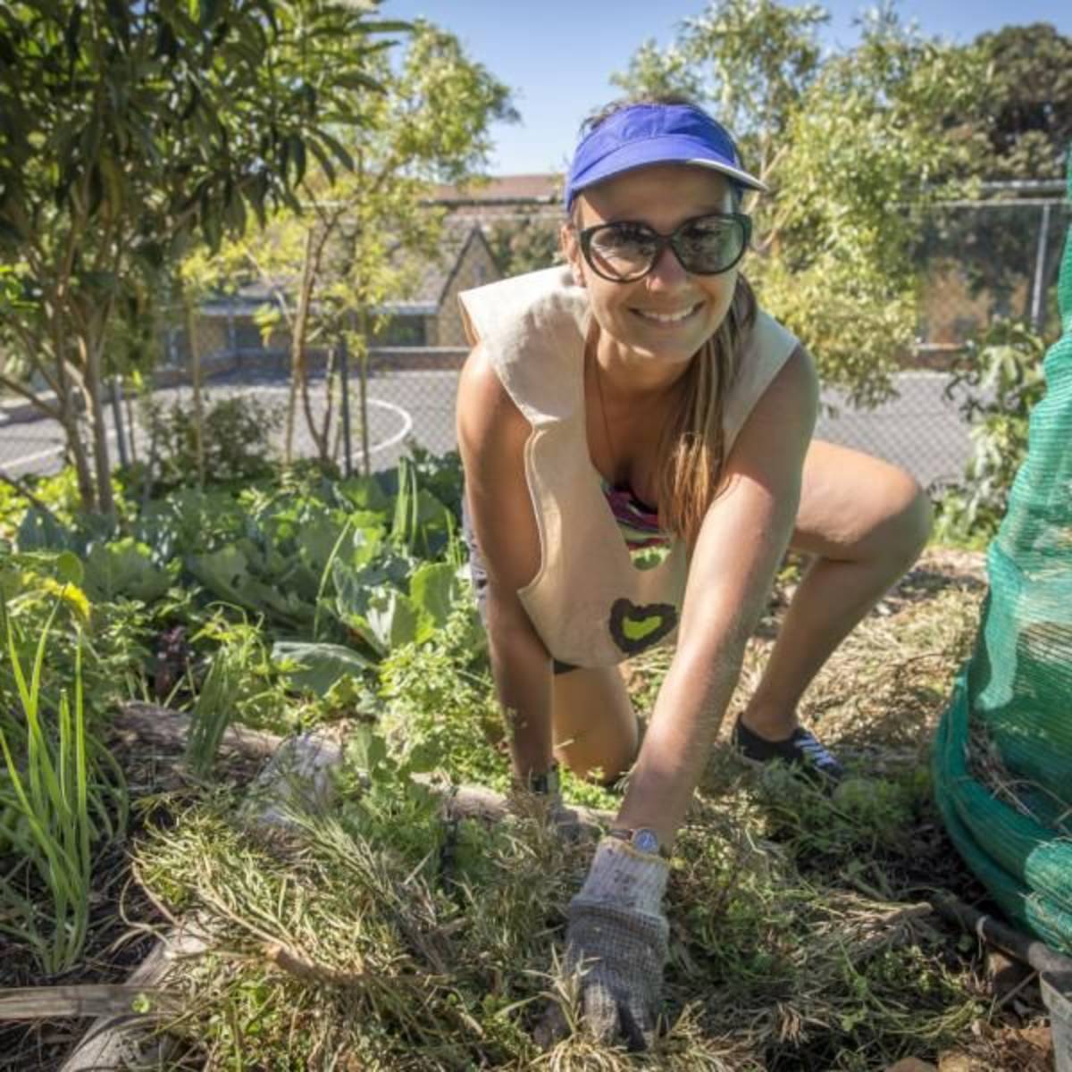 environmental internship Cape Town