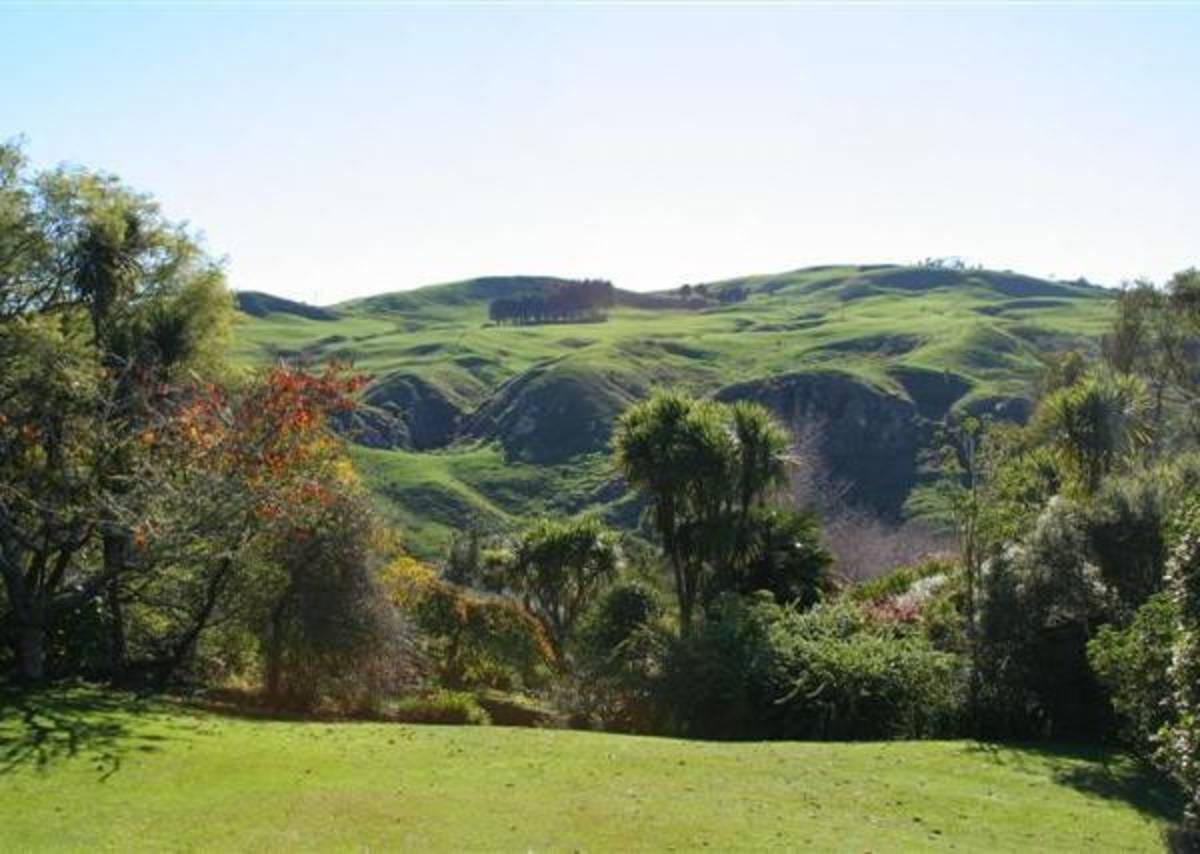 High School Abroad in New Zealand with Greenheart Travel — photo 2