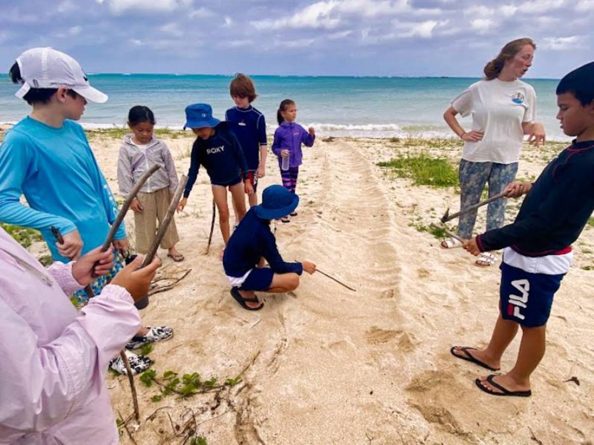 On the tracks of a seaturtle at the beach of Okinawa