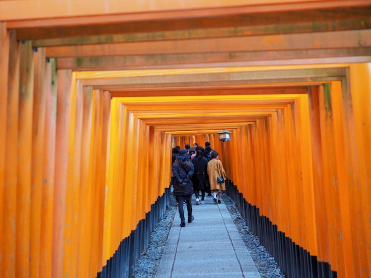 online tefl course
