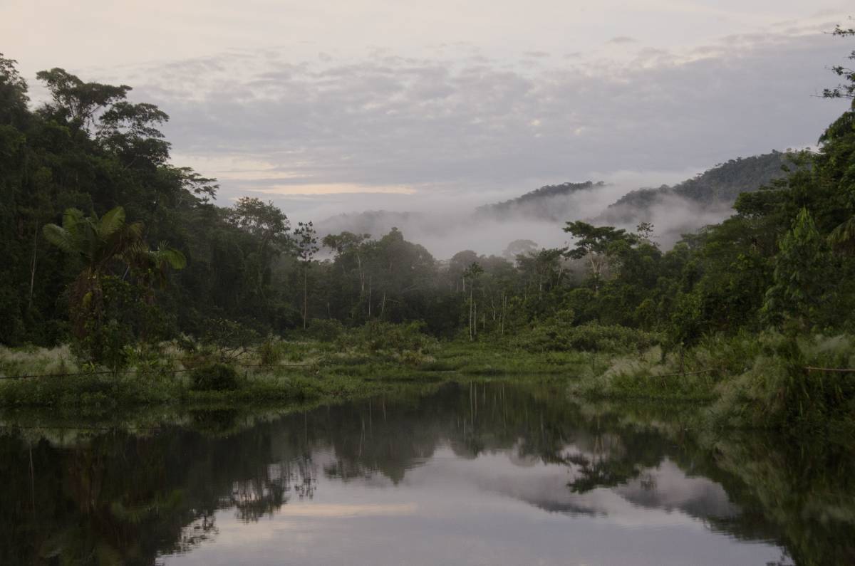 Oxbow lake