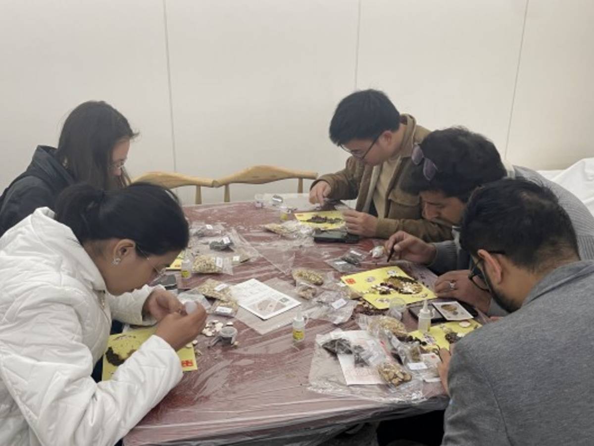 Participants in activity