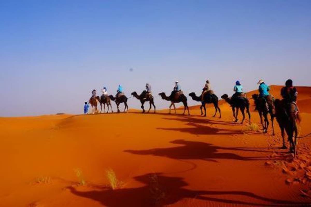 people on camels