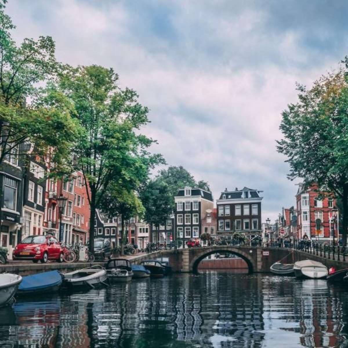 Netherland Interns