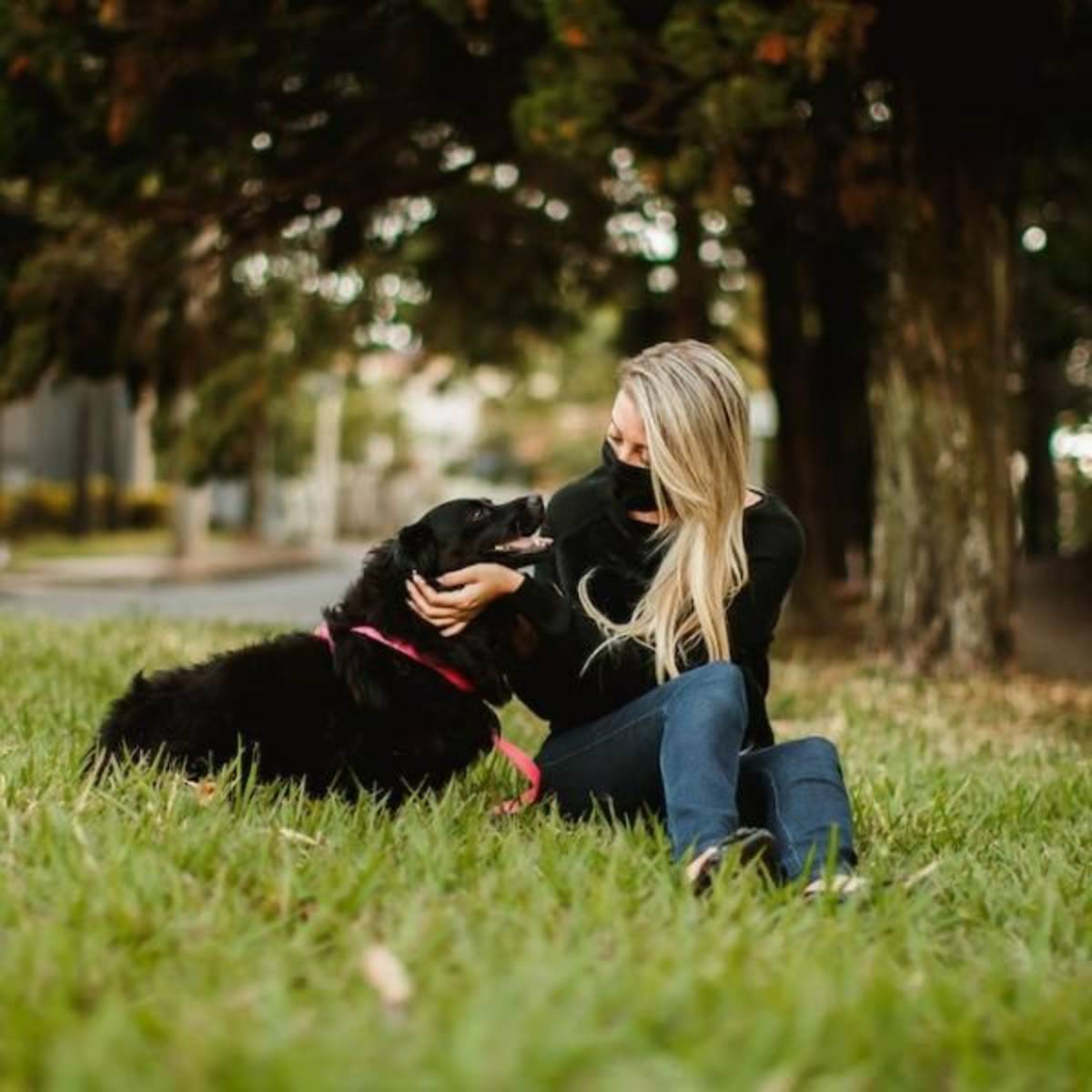 Animal Care Internship