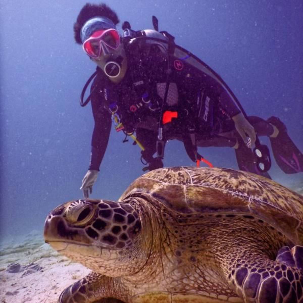 conservation biology Internship
