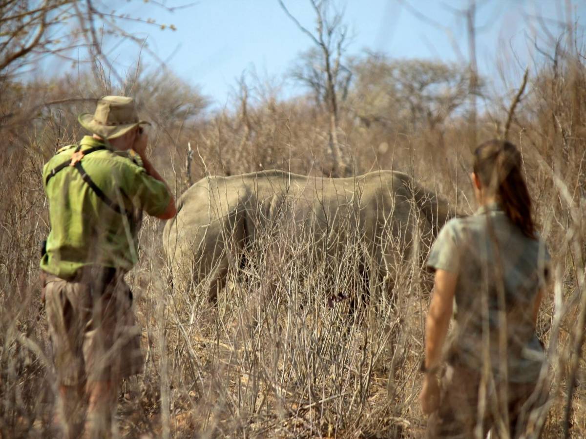 Rhino Conservation