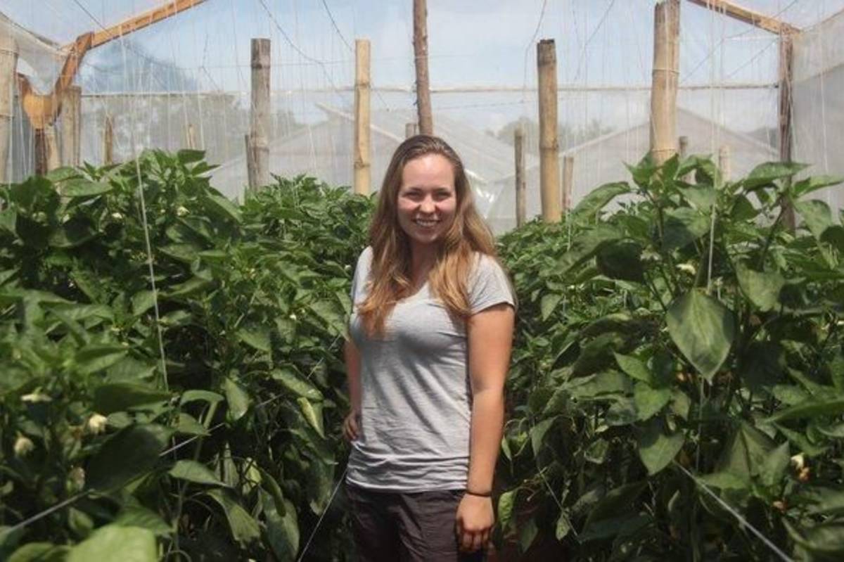 Agriculture intern in Guatemala