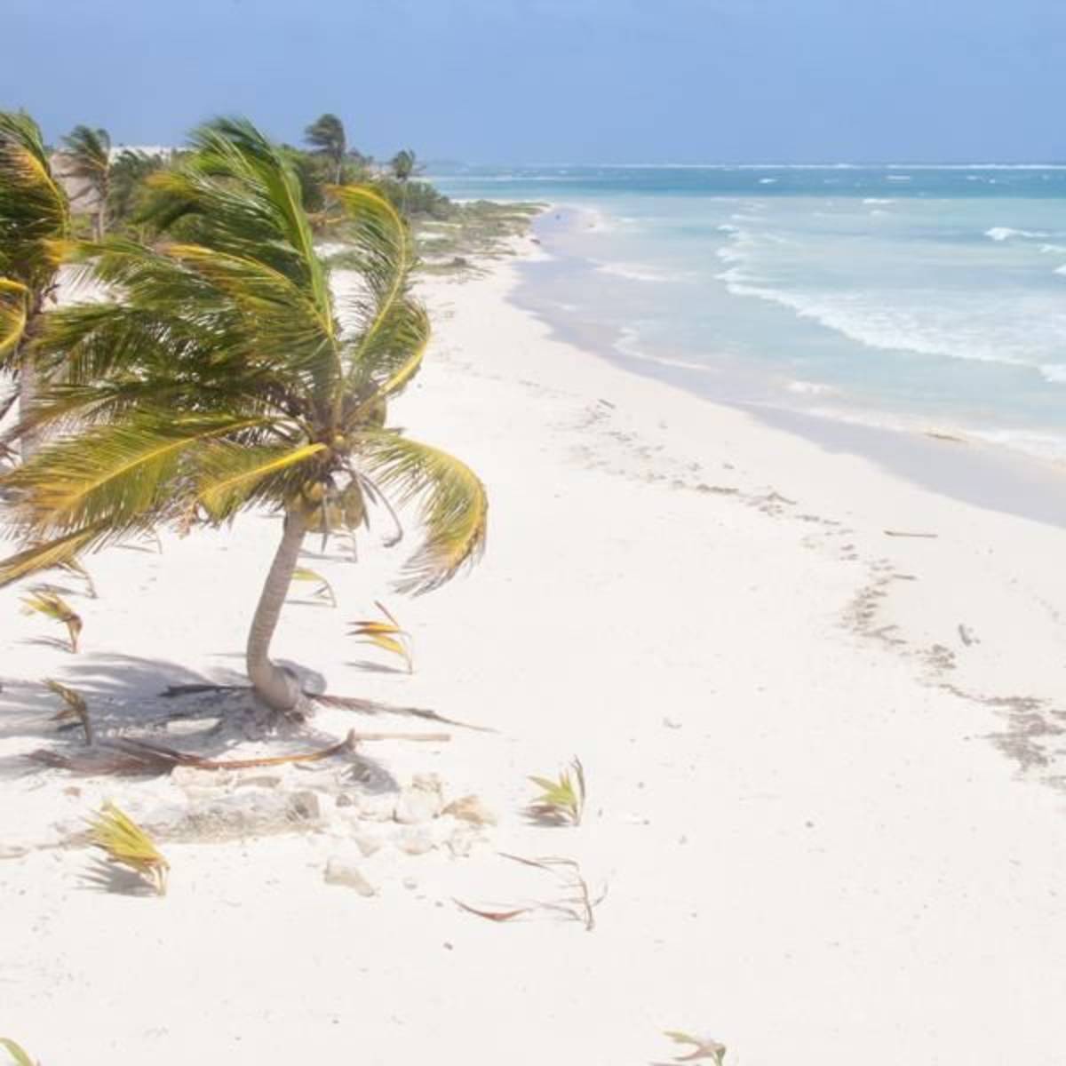 TEFL Playa del Carmen with ITTO