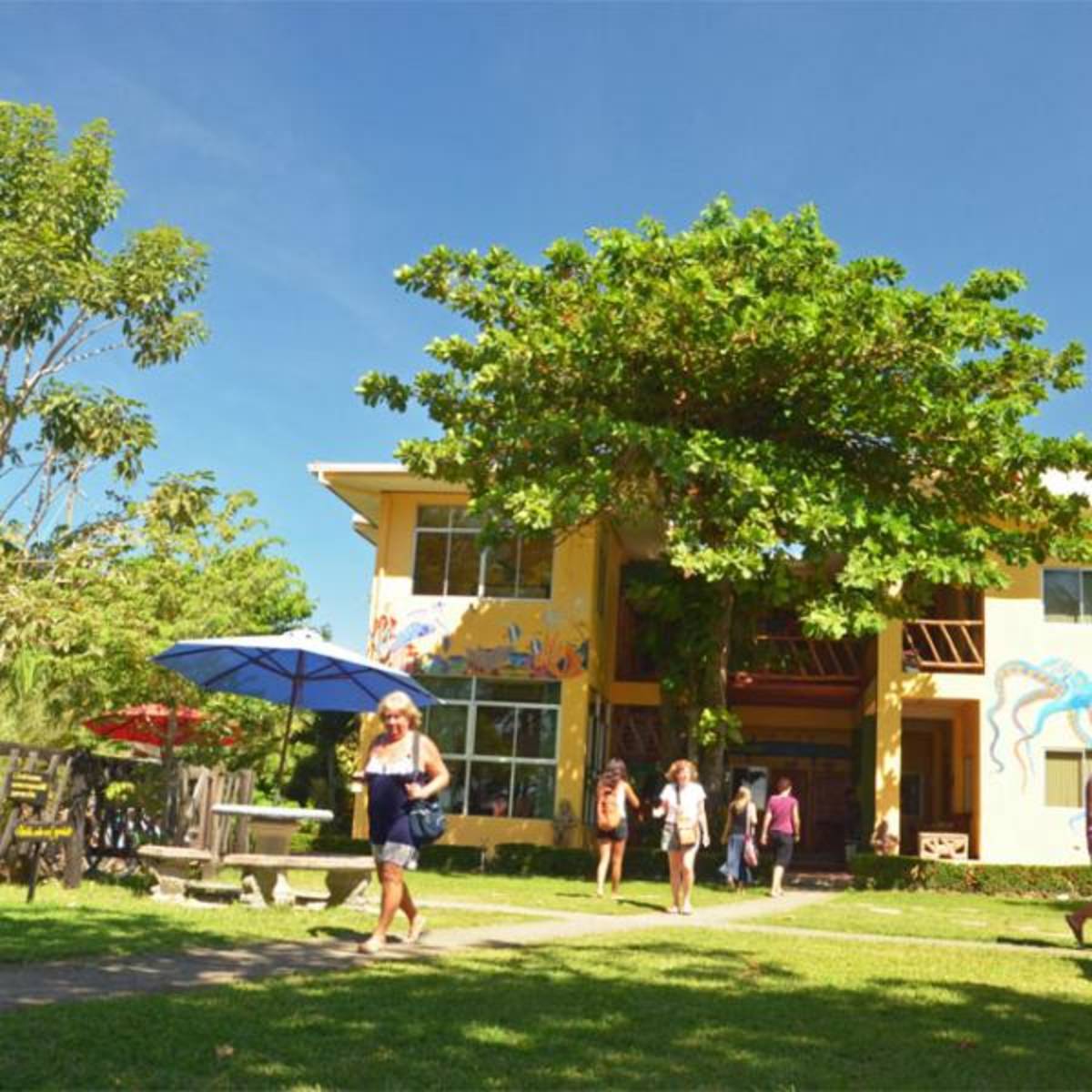 Spanish school on the beach, Costa Rica