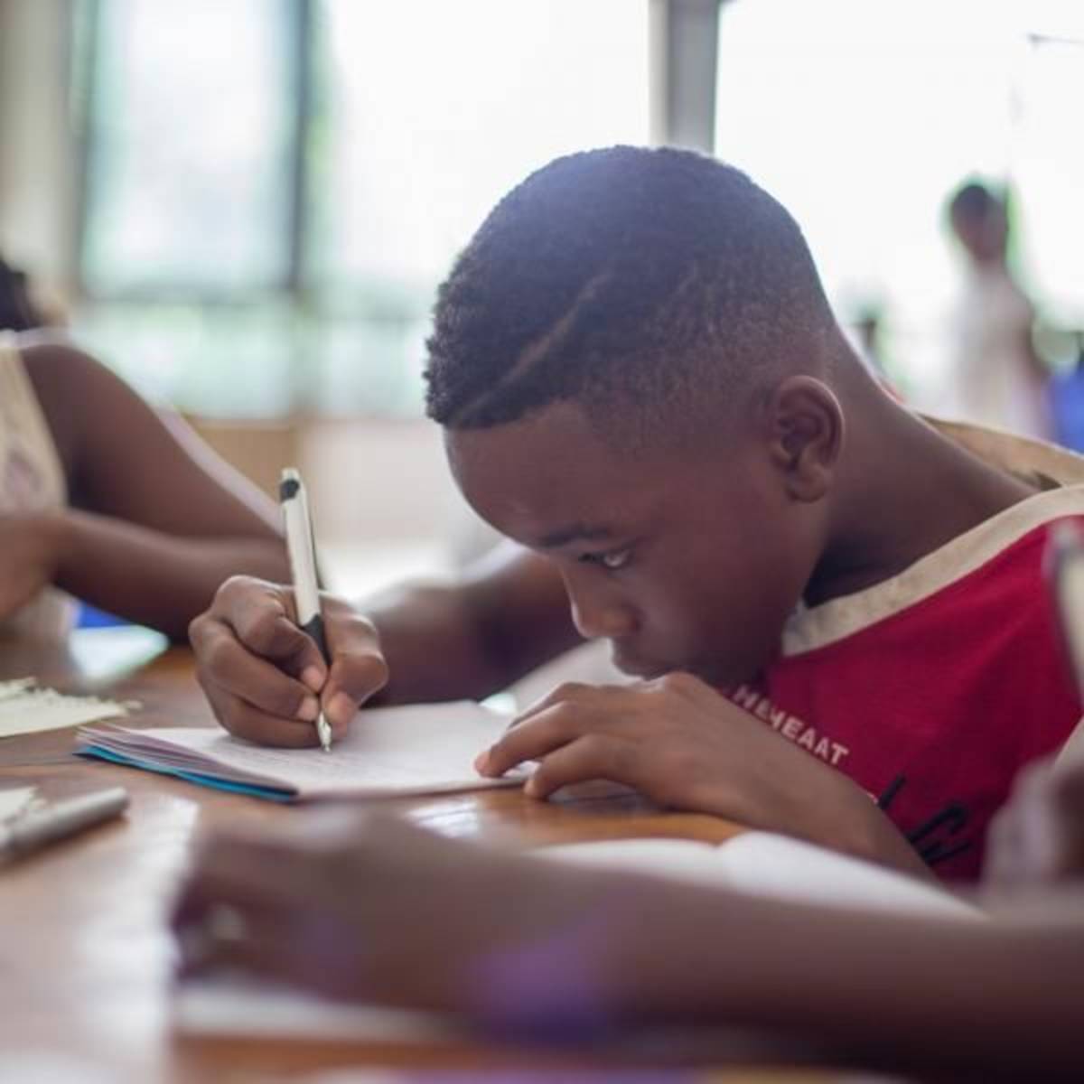 At-Risk Youth Mentor (Education/Social Services)