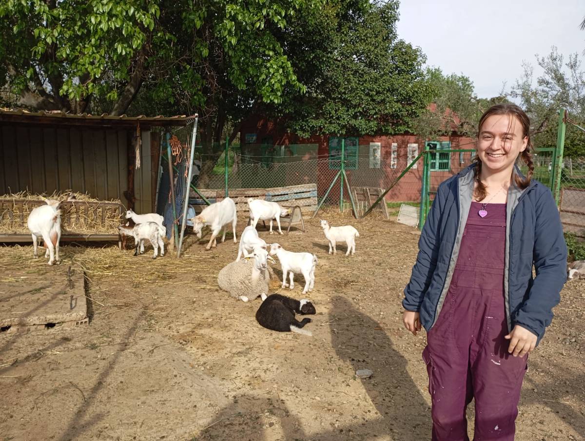 School Farm