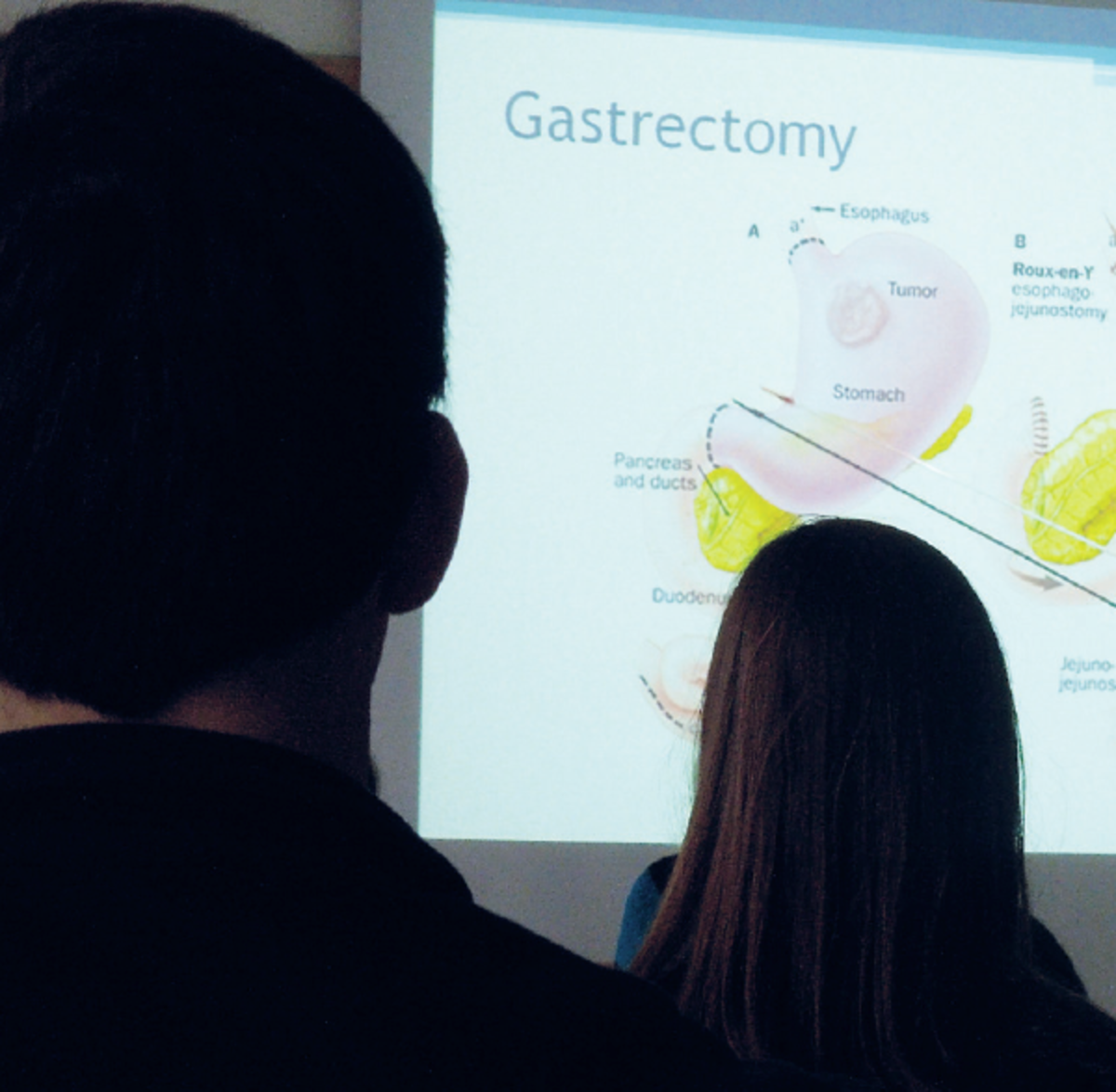 Study Medical Practice & Policy in Stockholm, Sweden