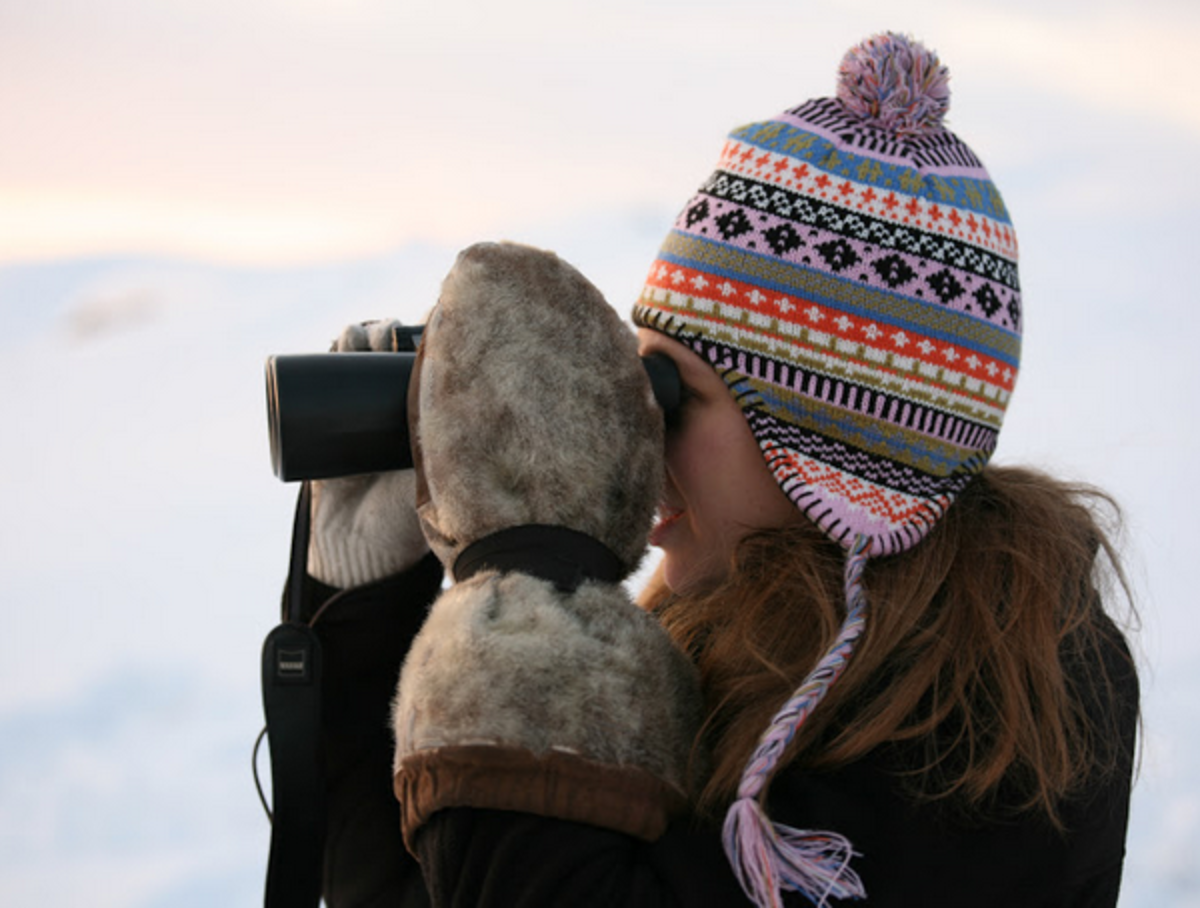 Study Environmental Science of the Arctic in Copenhagen