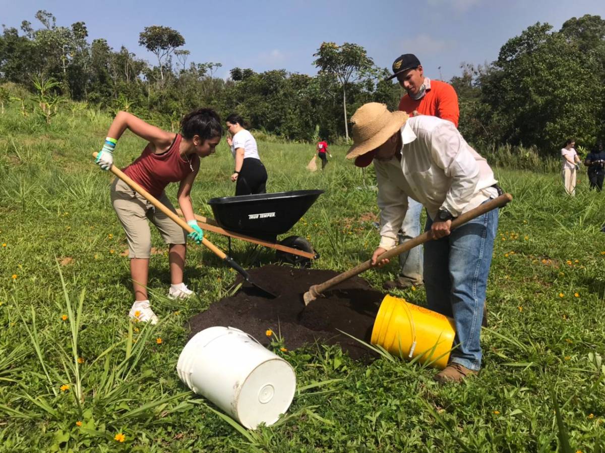Service project