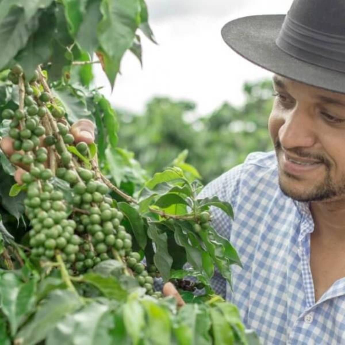 GoEco Costa Rica - Sustainable Organic Coffee Farming