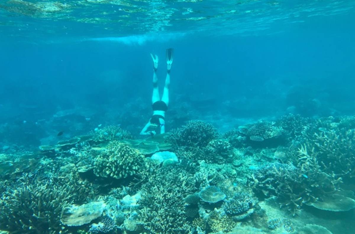 snorkeler