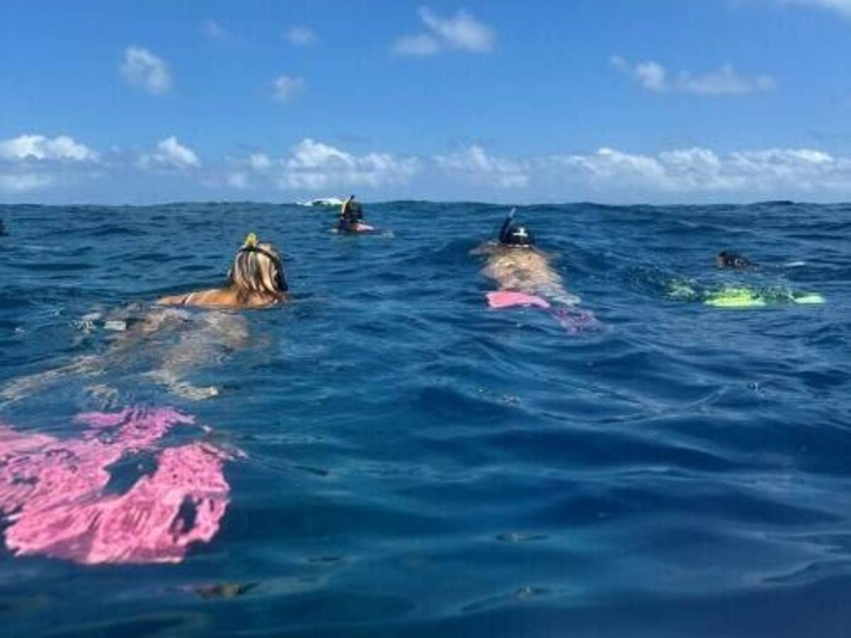 Snorkeling in Fiji