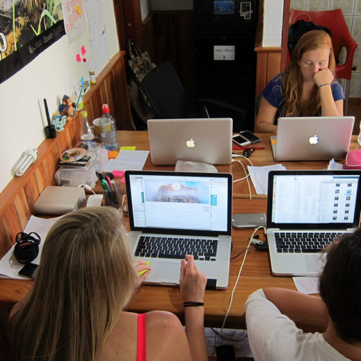 social media marketing galapagos