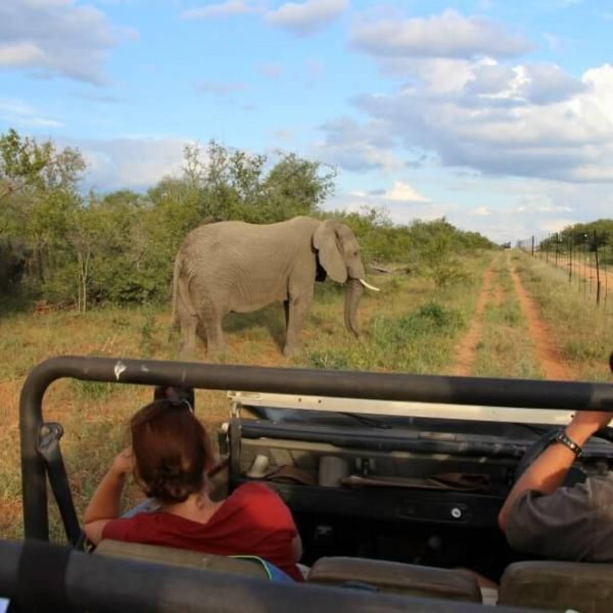 GoEco South Africa - Big 5 and Endangered Species Reserve