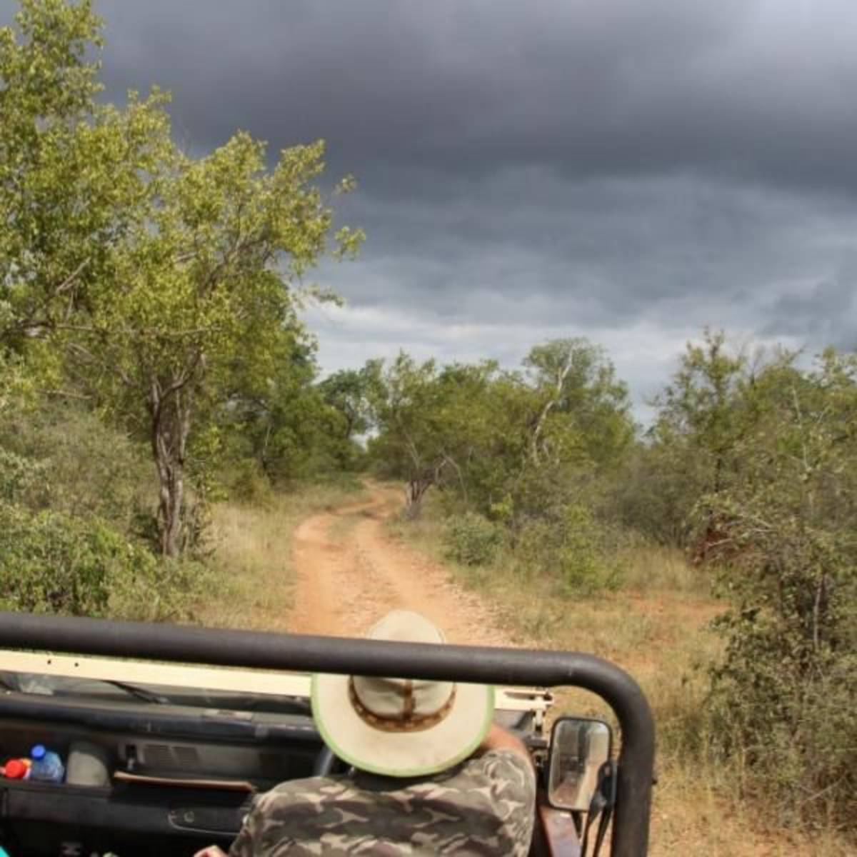 GoEco South Africa - Big Five & Endangered Species Reserv