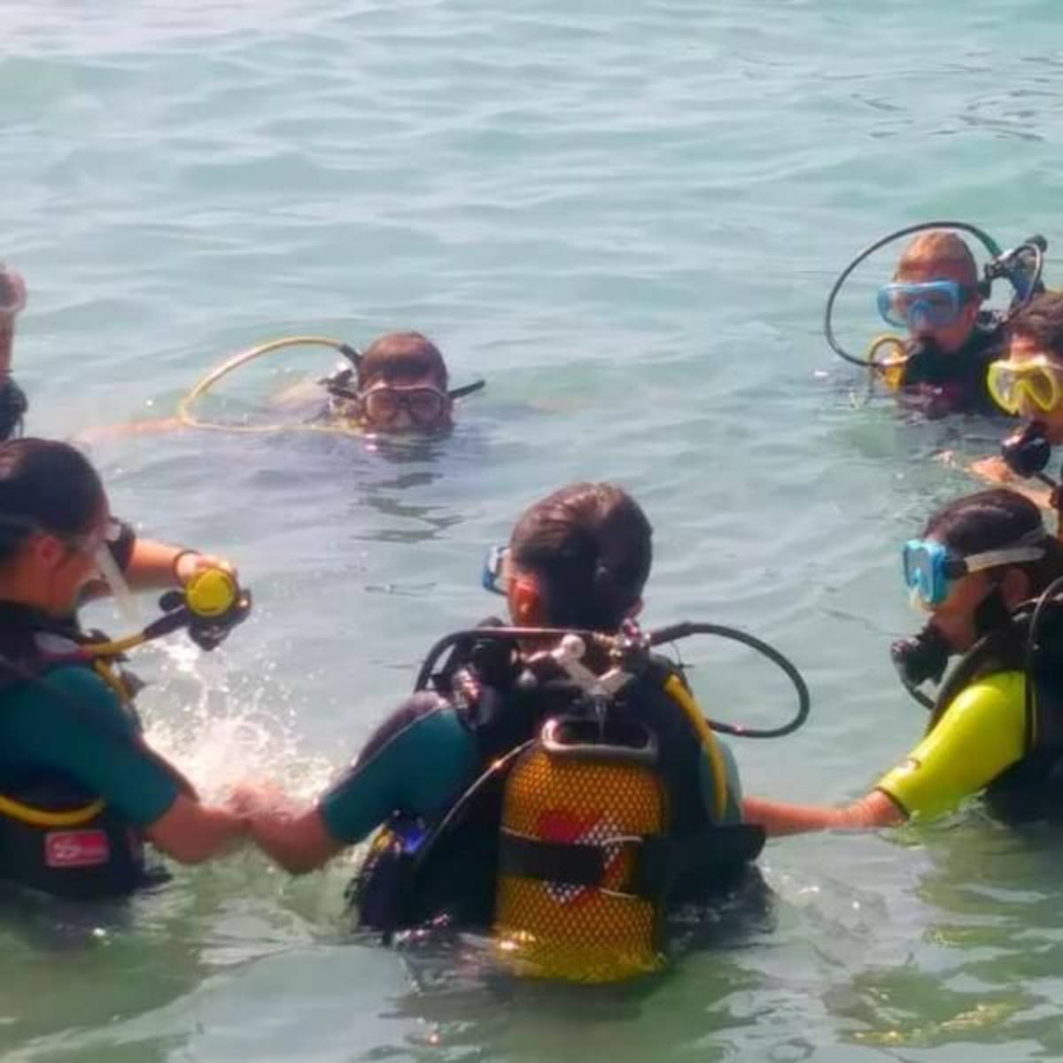 GoEco Spain - Coast and Marine Conservation in Denia