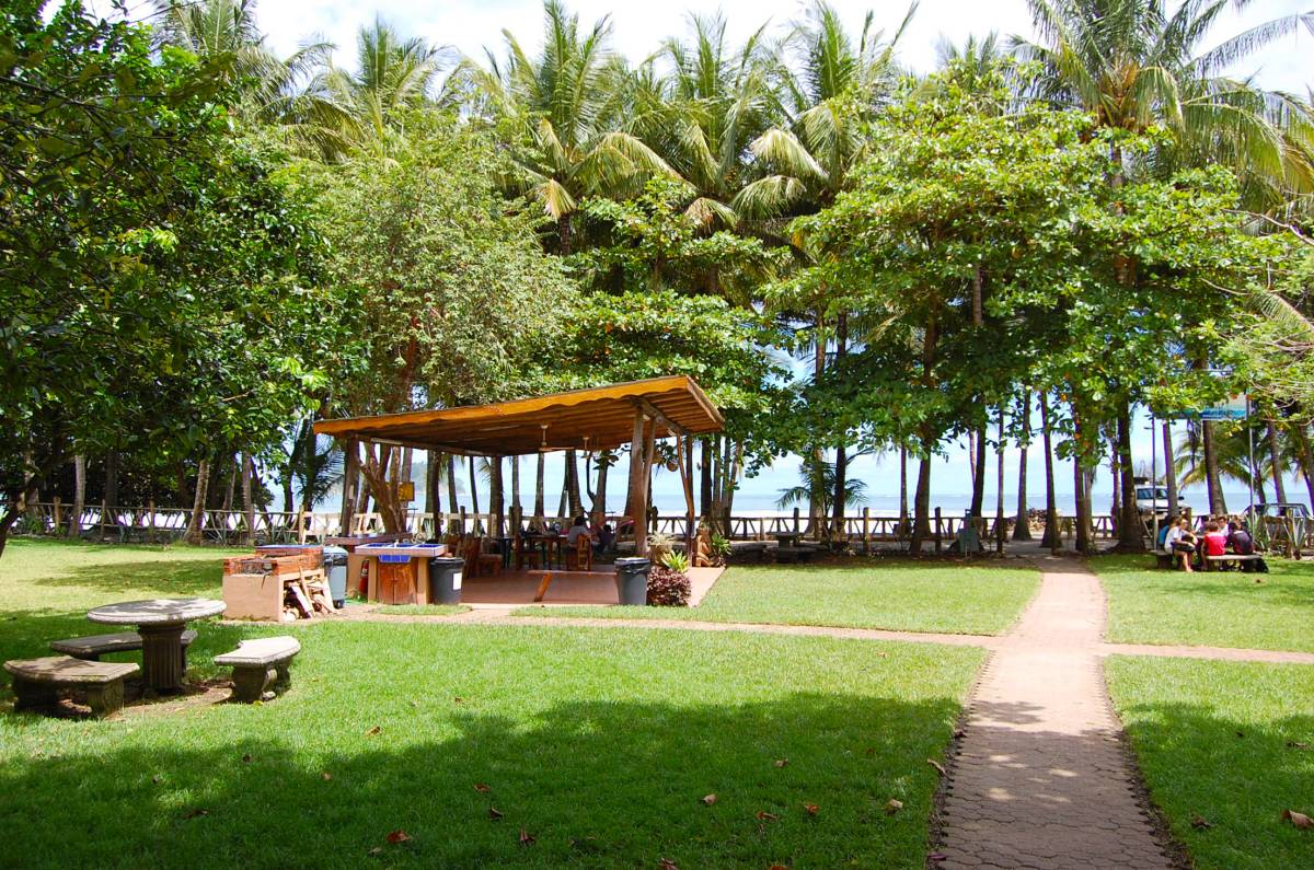 Spanish in Playa Samara