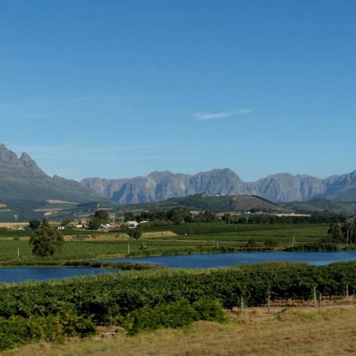 USAC South Africa: Stellenbosch - Undergraduate Courses — photo 2