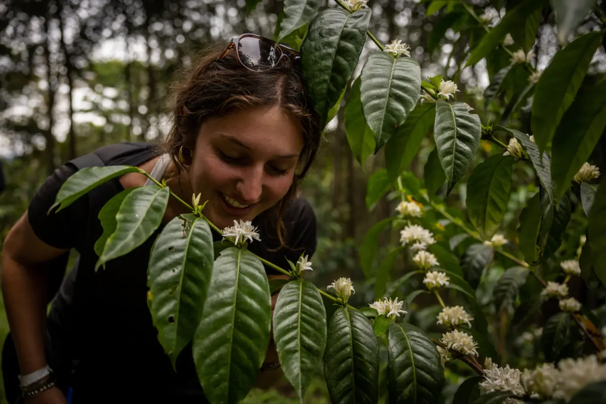 Student observes local plant life