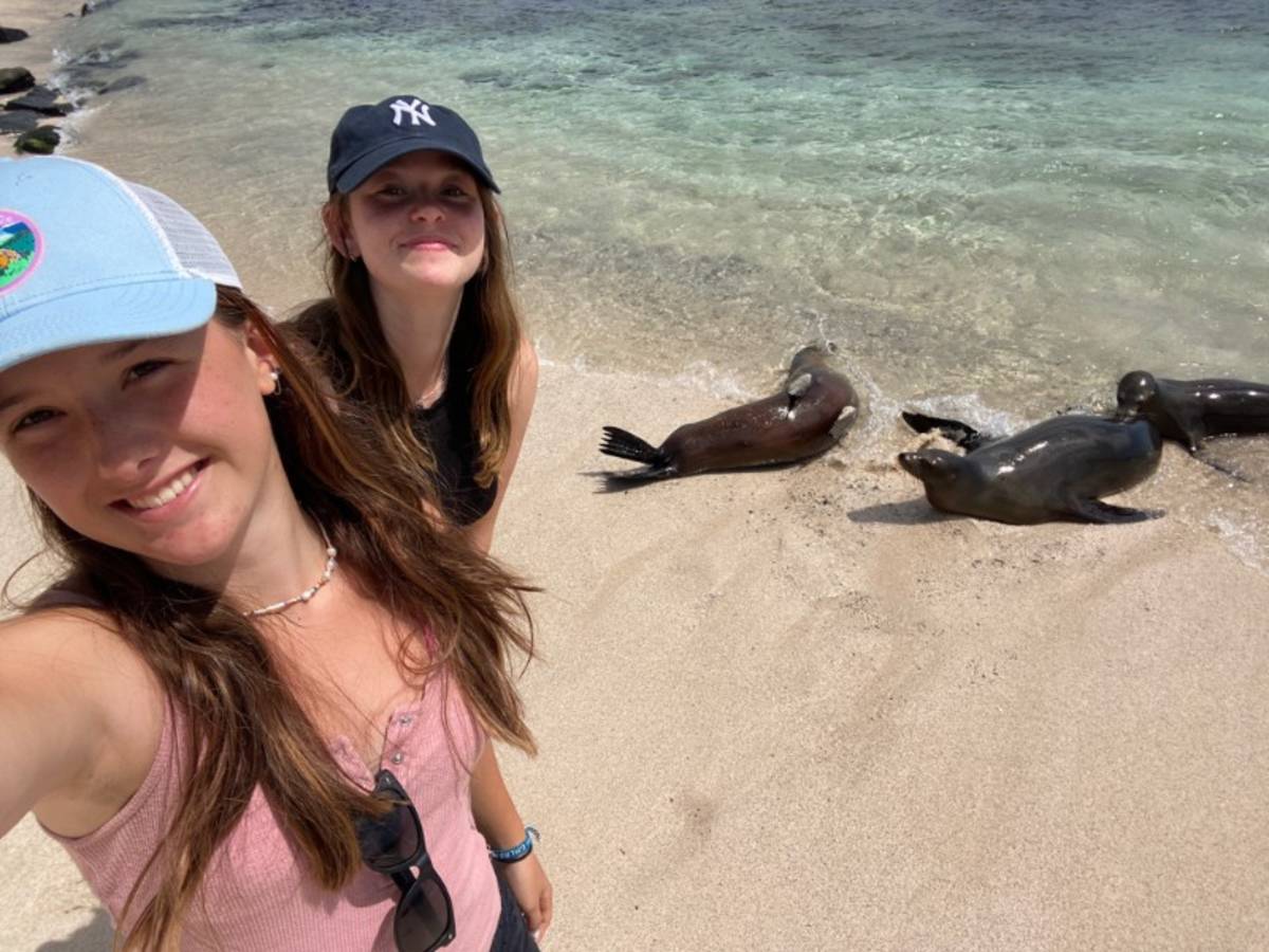 Students and sea lions on a beach
