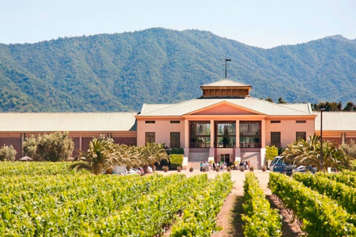 Students combining Spanish lessons with wine theory classes in Chile