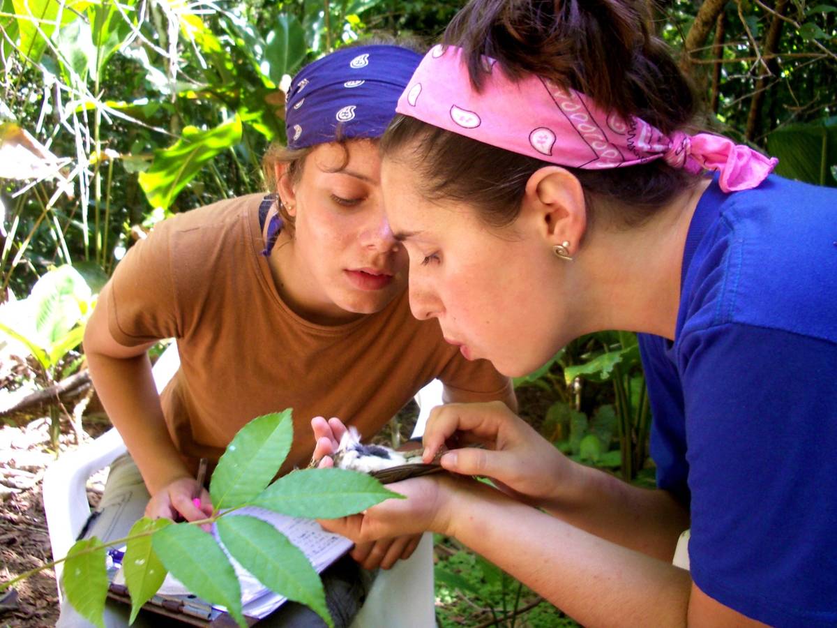 Students doing in fieldwork in Panama rainforest