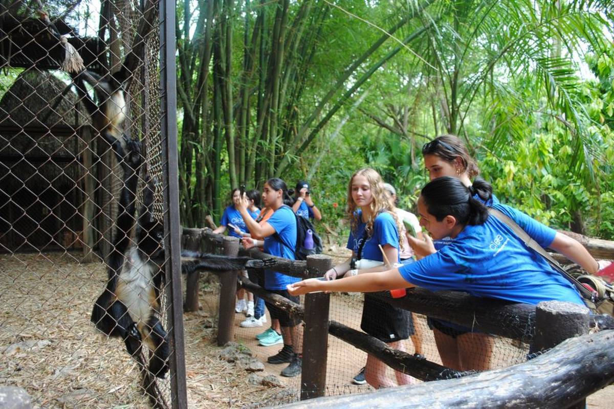 Students feeding monkeys in Yucatan zoo