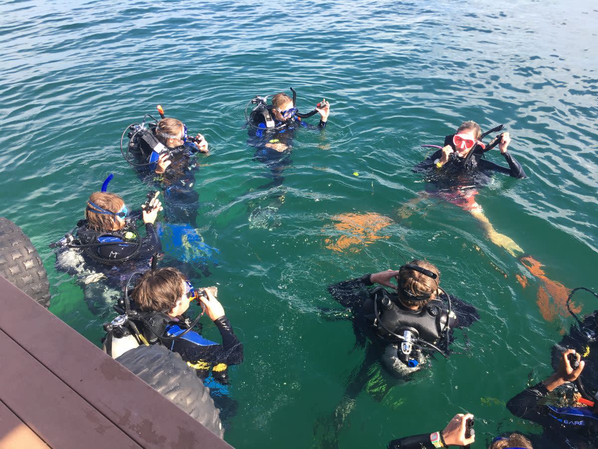 Students learning to SCUBA dive