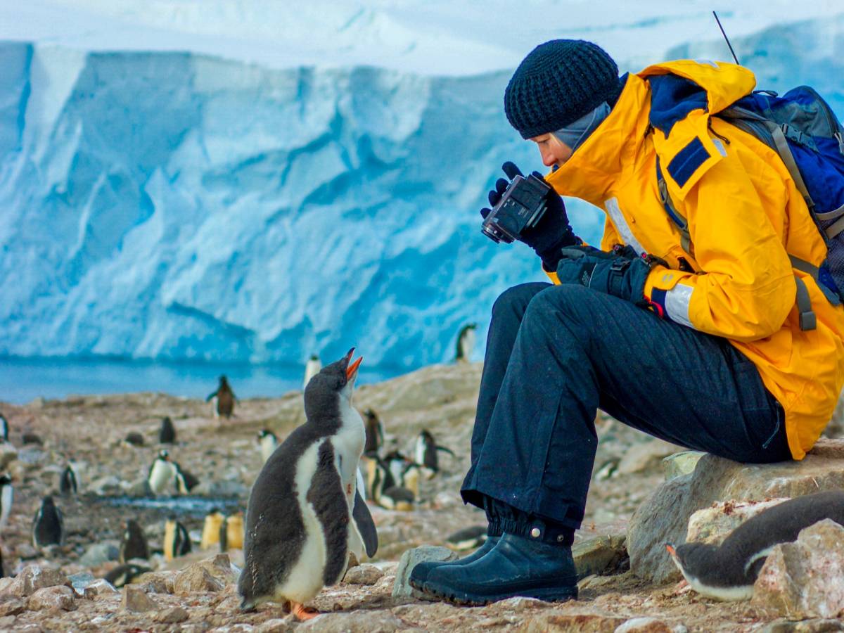 Students takes photo of penguin