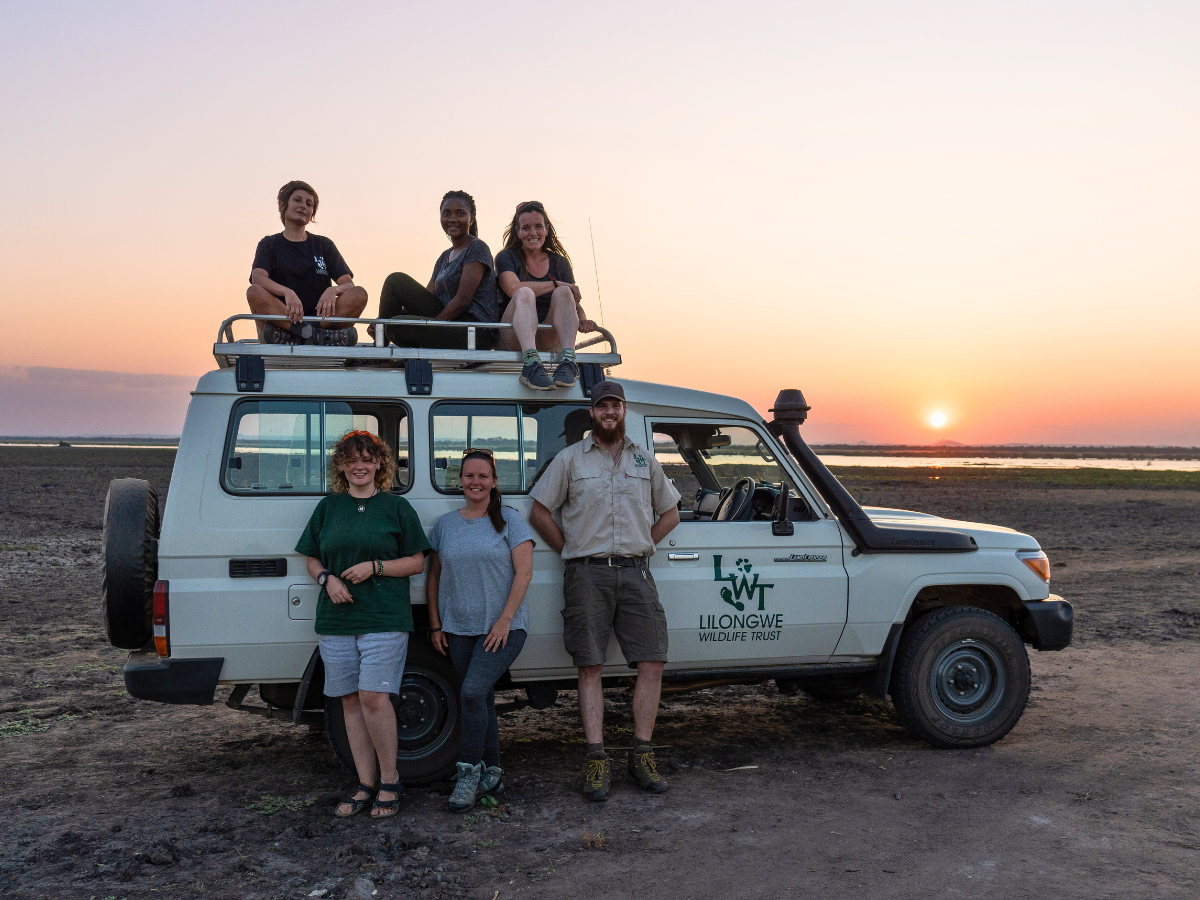 Students track lions and cheetahs in Malawi