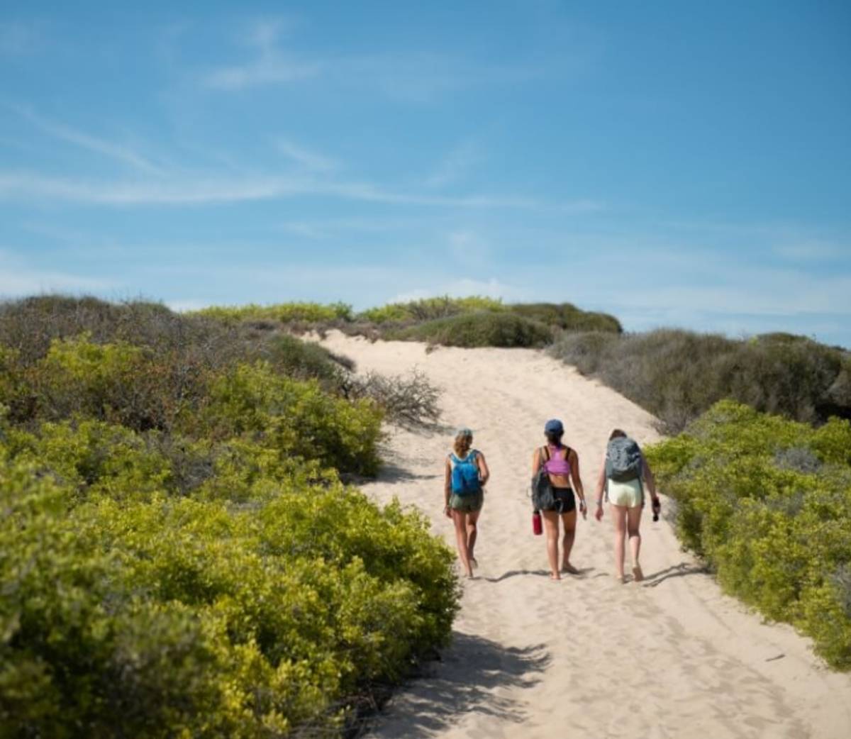 Students walking along sandy path in Baja